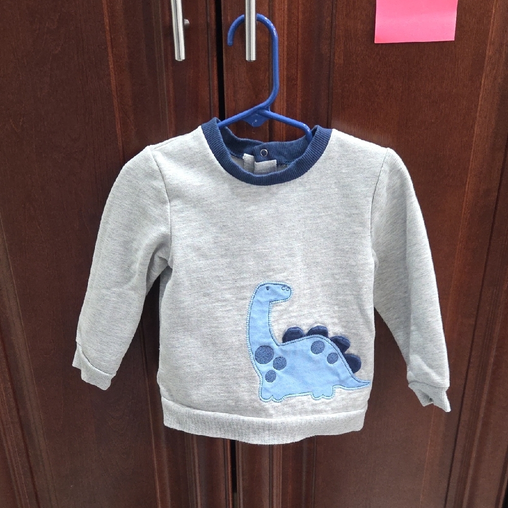 Gray Dinosaur Kids Sweatshirt With Matching Pants